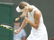 کیرولین ووزنیاسکی کو میچ کے دوران کیڑوں نے پریشان کردیا