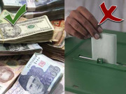 دوہری شہریت ایک سوتیلا پن