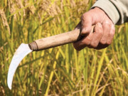 ضلع بدین میں پانی کی قلت سازش ہے پپو شاہ