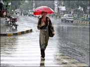 بے جی بارش اور سیاست