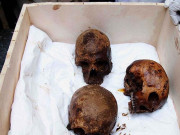 مصر میں قدیم تابوت سے انسانی ڈھانچے برآمد بلا نکلنے کی افواہ پھیل گئی