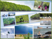 تمر کے جنگلات ایکو سسٹم کی بقا کے ضامن