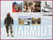 ahiarmiut