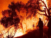 کیلیفورنیا میں جنگل کی آگ سے 2 افراد ہلاک ہزاروں ایکڑ علاقہ خاکستر