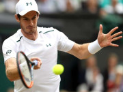 واشنگٹن ٹینس اینڈی مرے کی 17 ماہ بعد ہارڈ کورٹ میں فاتحانہ واپسی