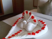 تولیے سے بنے آرٹس کی چند حیرت تصاویر