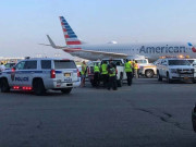 نیو یارک ایئرپورٹ پر طیارے کے ٹوائلٹ سے نومولود کی لاش برآمد