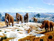 زندہ ہونے والے ہیں معدوم جانور