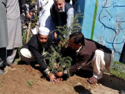 شجرکاری مہم کو ’کامیاب شجرکاری مہم‘ کیسے بنائیں