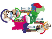 اخراجات سے مسترد ووٹوں کی تعداد تک