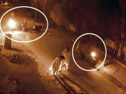 معاشرتی بے حسی سفاک قاتل نے سرعام خاتون کو موت کے گھاٹ اتار دیا