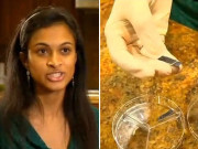 20 سیکنڈز میں موبائل فون چارج کرنے والی ڈیوائس ایجاد