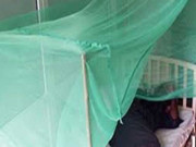 کانگو وائرس نے ایک اور نوجوان کی جان لے لی