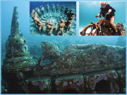 جزائر بالی کی زیرآب منفرد دنیا