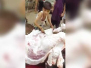 ننھے ماہر قصائی کی وڈیو سوشل میڈیا پر وائرل ہوگئی