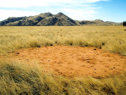 صحرائے نمیب کے پُراسرار دائروں کا بھید کُھل گیا 