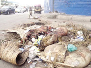 گنجان آباد علاقوں میں گندگی اورغلاظت کے ڈھیر