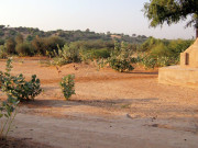 میر پور خاص ڈویژن طفانی ہواؤں نے تباہی مچا دی متعدد گاڑیاں صحرا میں پھنس گئیں 