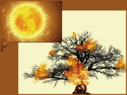 سورج کی گرمی روک لو