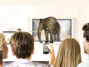 فُل پیرالیکس ٹیکنالوجی 