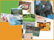 بچا سکتے ہیں تو بچا لیں اب کس کس چیز کی حفاظت کی جائے 