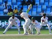 کینگروز توقع سے زیادہ سخت جان ثابت ہوئے