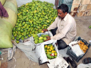 آم پکانے کیلیے خطرناک کیلشیم کاربائڈ کا آزادانہ استعمال 