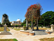 بوٹینیکل گارڈن سے برنس گارڈن تک