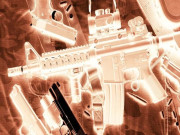 شکار کیلیے آنے والی عرب شخصیات کا اسلحہ فروخت ہونے کی تحقیقات شروع