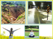 ’درخت‘ محافظوں کی قطار دوستوں کا گھیرا