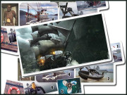 بھوت بحری جہاز