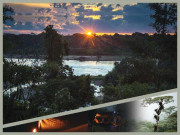 جنگل ہی جنگل کی بقا کے ضامن