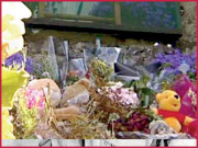 آئرلینڈ میں دریافت ہونے والی آٹھ سو بچوں کی باقیات کا راز کیا ہے