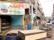 تاجروں کا سرکاری قیمت پر مرغی اور گوشت کی فروخت سےانکار