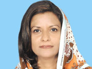 الیکشن میں ہارکے پیچھے بیرونی قوتیں کارفرمارہیںنفیسہ شاہ 