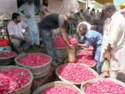شب برأت آج عقیدت و احترام سے منائی جائیگی قبرستانوں میں استقبالیہ کیمپ لگنا بھی شروع