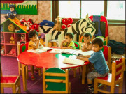 ہمارے جگنو ہمارا مستقبل