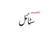 اسلم پرویز نے ولن اور ہیروکے منفرد کردارنبھائے 