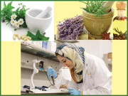 ہربل میڈیسنز کا استعمال تیزی سے بڑھ رہا ہے