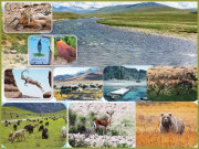 پاکستان کے قومی پارکس