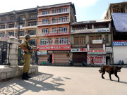 مقبوضہ کشمیر میں ہڑتال جاری جھڑپ میں مزید2مجاہد شہید  پولیس اہلکار ہلاک 