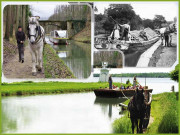 تاریخ کا وہ دور