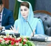 حکومت پنجاب کی دو سالہ کارکردگی پر مبنی سروے رپورٹ جاری
