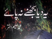 چاہتوں کا امین محمد سلیم اختر