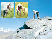 تھامس صاحب بکری بن گئے