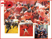 سنگتروں اور ٹماٹروں سے لڑائی