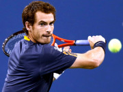 اینڈی مرے کو ’نائٹ ہڈ‘ کے اعزاز سے نوازنے کا امکان 