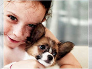 پالتوجانوروں سے منتقل ہونے والی بیماریاں