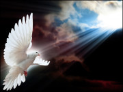 صحافت برائے امن پیس جرنلزم