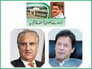 تحریک انصاف کو سفارتی سطح پر نمایاں کامیابیاں مل رہی ہیں